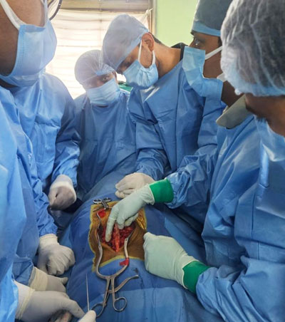 Spine Surgeries